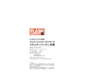 FLASHデジタル写真集 サイバージャパンダンサーズ バチェラーパーティ 前編