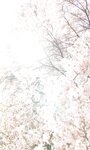 [Photobook] 2024.04.15 【デジタル限定】福留光帆写真集「尼崎のダイヤモンド」 週プレ PHOTO BOOK