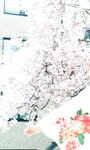 [Photobook] 2024.04.15 【デジタル限定】福留光帆写真集「尼崎のダイヤモンド」 週プレ PHOTO BOOK