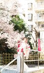 [Photobook] 2024.04.15 【デジタル限定】福留光帆写真集「尼崎のダイヤモンド」 週プレ PHOTO BOOK