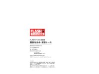 FLASHデジタル写真集 真島なおみ 仮想ナース