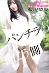 [Photobook] 週刊ポストデジタル写真集 藍沢梨夏 パンチラの向こう側