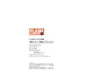 FLASHデジタル写真集 月埜ヒスイ 昴揚とメランコリー