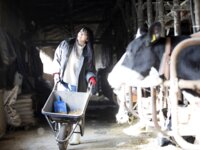 [Photobook] 週刊現代デジタル写真集 脊山麻理子「しのび逢い」