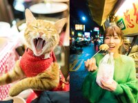 FLASHデジタル写真集Ｑ 園都 内緒の恋、してますか？