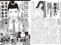 [Weekly Playboy] 2024 No.34-35 (豊島心桜 筧美和子 黒木ひかり 井口裕香 宮崎あみさ 山下エミリー 辻りりさ 柴藤るい 他)