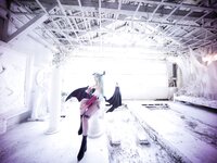 [Cosplay][Shooting Star’s] SAKU サク -SHADOWBLADE