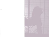 [Photobook] 矢吹春奈 写真集『春奈』