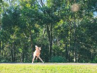 [Photobook] 2024.10.14 田中美久写真集「もっと、気ままに。」 (週プレ PHOTO BOOK)