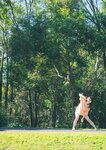 [Photobook] 2024.10.14 田中美久写真集「もっと、気ままに。」 (週プレ PHOTO BOOK)