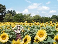 [Cosplay] Ely_eeeElyEE子 Kazami Yuuka 幽香花海
