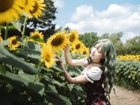 [Cosplay] Ely_eeeElyEE子 Kazami Yuuka 幽香花海