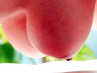 [Photobook] NUDE PHOTO BOOK 009 井上瞳