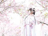 [Cosplay] Nyako 喵子- Sakura Hanfu Flower Goddess Prayer 樱花汉服 花神祈愿