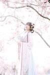 [Cosplay] Nyako 喵子- Sakura Hanfu Flower Goddess Prayer 樱花汉服 花神祈愿