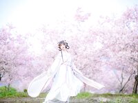 [Cosplay] Nyako 喵子- Sakura Hanfu Flower Goddess Prayer 樱花汉服 花神祈愿