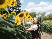 [Cosplay] Ely - 2024.09 A Kazami Yuuka - Dress
