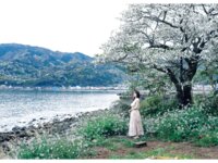 [Photobook] 菜乃花LAST写真集 しずく