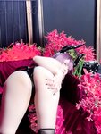 [Cosplay] Natsuko夏夏子 碧蓝航线 德文郡魅魔