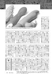 [Weekly Playboy] 2024 No.45 菊地姫奈 水崎綾女 渚のん 兒玉 遥 和地つかさ…他(JPG)