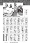 [Weekly Playboy] 2024 No.42 本郷柚巴 伊織いお 染谷有香 岡部麟 入内嶋涼 福井梨莉華 大塚七海 ゆみちぃ…他(JPG)