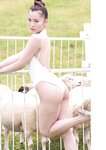 [Weekly Playboy] 2024 No.42 本郷柚巴 伊織いお 染谷有香 岡部麟 入内嶋涼 福井梨莉華 大塚七海 ゆみちぃ…他(JPG)