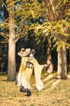 [Cosplay] Elyee – 2024年11月 Tier 4 [70P10V-298M]