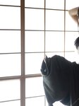 [Photobook] 七菜乃 ヌード写真集『 Dream 』