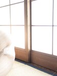 [Photobook] 七菜乃 ヌード写真集『 Dream 』