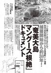 [Weekly Playboy] 2024 No.46 今森茉耶 桥本梨菜 谷川朋加 斎藤恭代 片山萌美 河北彩伽 (河北彩花)