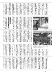 [Weekly Playboy] 2024 No.51 天羽希純 傳谷英里香 福室莉音 水島美結