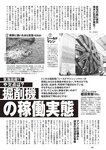 [Weekly Playboy] 2024 No.51 天羽希純 傳谷英里香 福室莉音 水島美結