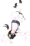 [Cosplay][Dark✙Angel] Mari Konoe 近衛まり - Bleu Klein