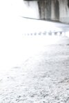 FRIDAYデジタル写真集 志田音々 オトナなねねまる Vol.2  １００ページ超豪華版(2024-05-24)