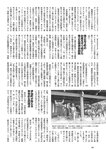 [Weekly Playboy] 2024 No.43-44 土生瑞穂 岸明日香 高倉菫 七瀬なな 青山ひかる…他(JPG)