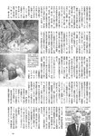 [Weekly Playboy] 2024 No.43-44 土生瑞穂 岸明日香 高倉菫 七瀬なな 青山ひかる…他(JPG)