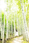 [Photobook] 2015.10.02 雨宮天ファ－スト写真集 ソライロ～青と旅する～