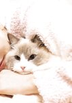 [Photobook] 2024.03.20 石川澪写真集「21」