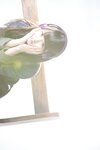 乃木坂46×週刊プレイボーイ2015 未公开图