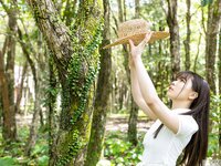 [Graphis] Gals – Aoi Ichino 一乃あおい“Sparkle!” vol.4 [20P 37M]