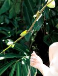 [Photobook] Shoko Takahashi 高橋しょう子 - Takasho たかしょー