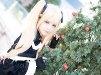 [Cosplay] (C95) Karin (sama) かりん(様) Garden rose (Dead or Alive)