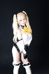 [Cosplay] (C95) Karin (sama) かりん(様) Garden rose (Dead or Alive)