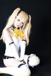 [Cosplay] (C95) Karin (sama) かりん(様) Garden rose (Dead or Alive)