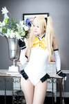 [Cosplay] (C95) Karin (sama) かりん(様) Garden rose (Dead or Alive)