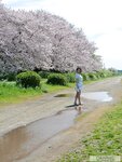 [Graphis] 2017-05-31 Gals - Mitsuha Kikukawa 菊川みつ葉 Flesh Seedlings (135P+4Vid)
