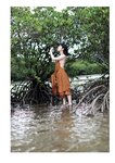 [Photobook] 2024.08.28 【電子版だけの特典カットつき】石浜芽衣1st 写真集 ひかっている