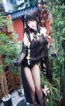 [Cosplay] 疯猫ss - 镇海