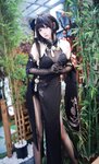 [Cosplay] 疯猫ss - 镇海