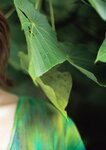 アサ芸SEXY女優写真集 2024.12.16 美乃すずめ写真集 nymph
